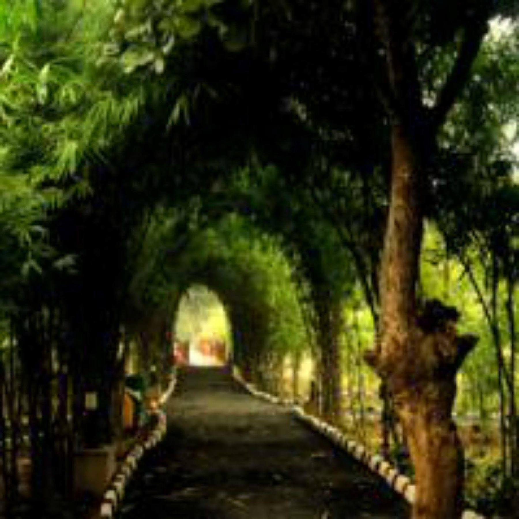 Lemon Tree Wildlife Resort, Bandhavgarh Tāla Extérieur photo